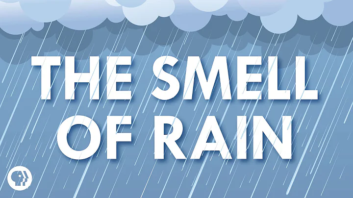 Where Does the Smell of Rain Come From? - DayDayNews