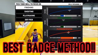 FASTEST WAY TO GET SHOOTING & DEFENDING BADGE UPGRADES!! 2-WAY 3-LEVEL FACILITATOR BADGES! NBA 2K20