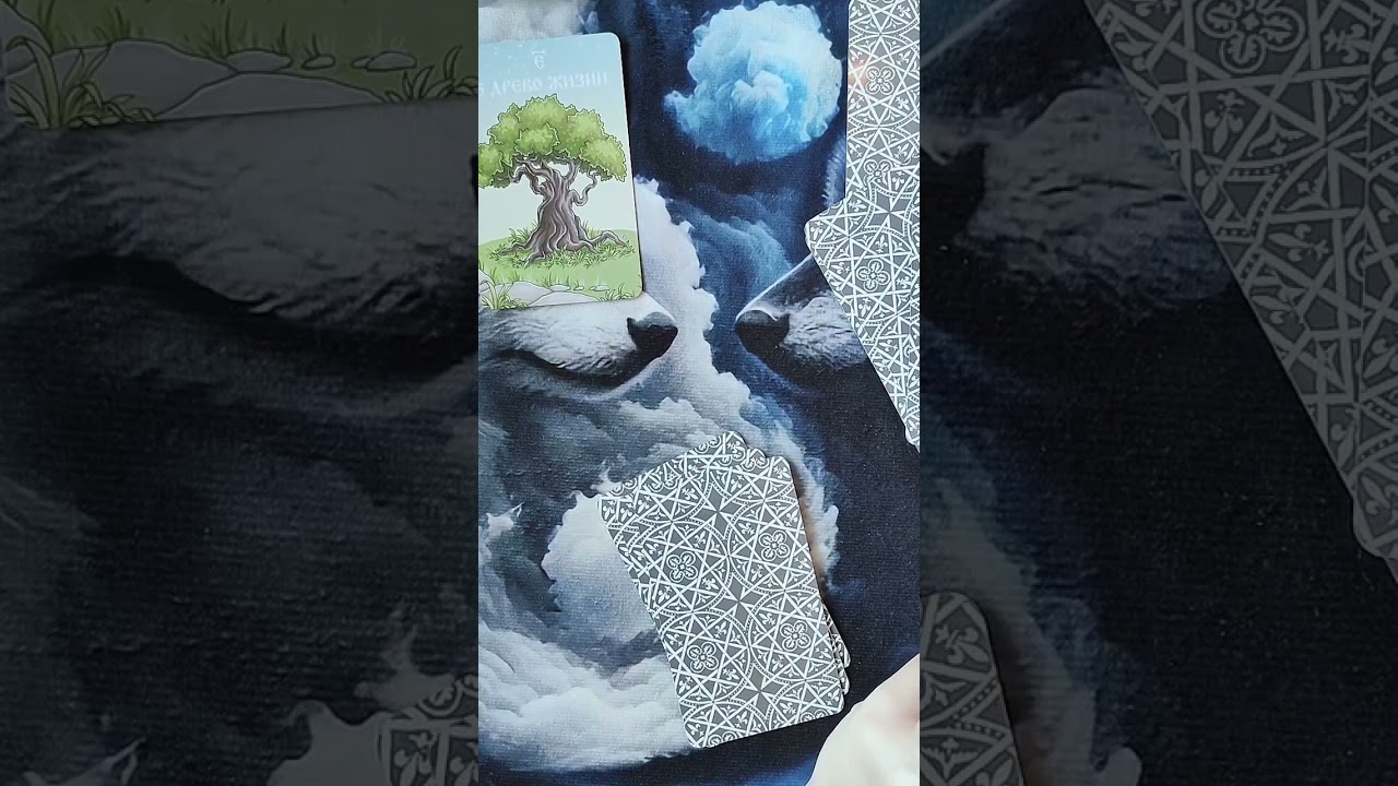 🌺 Чему пришло время? 