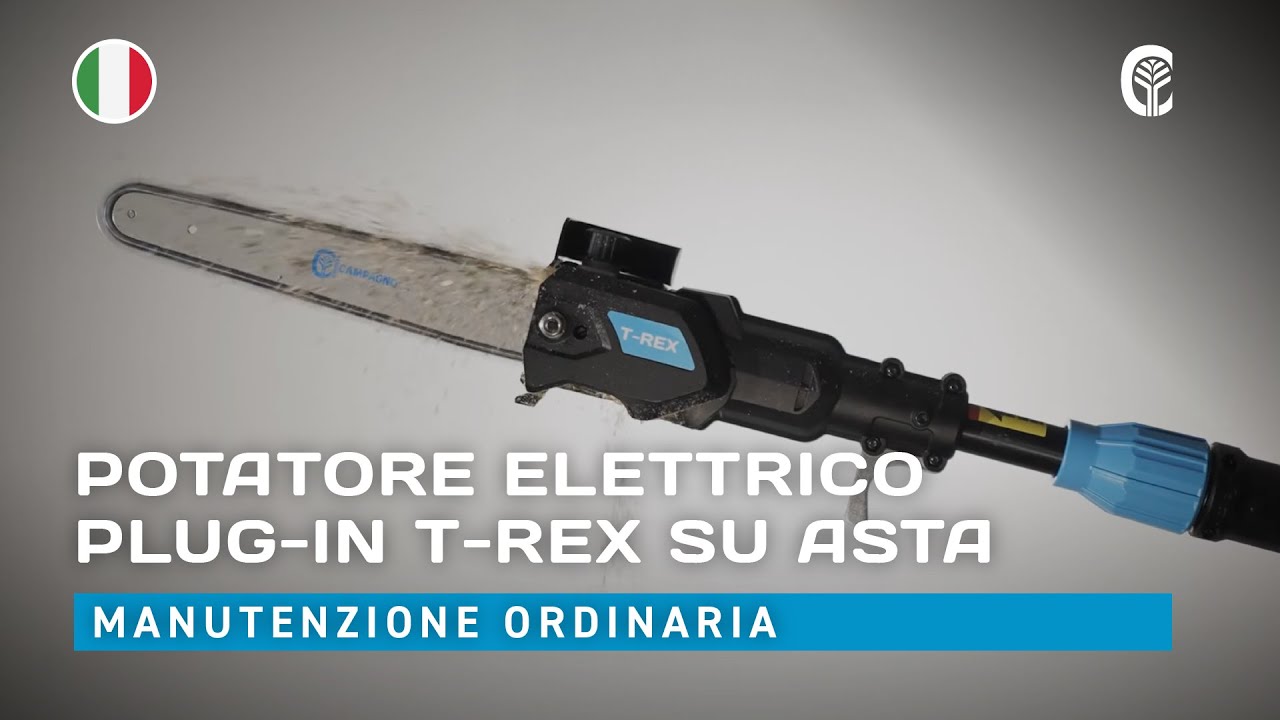 🇮🇹 Manutenzione ordinaria: CAMPAGNOLA T-REX  SU ASTA