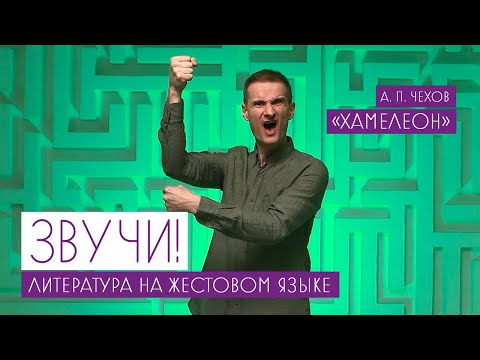 Звучи! Литература на жестовом языке. "Хамелеон"