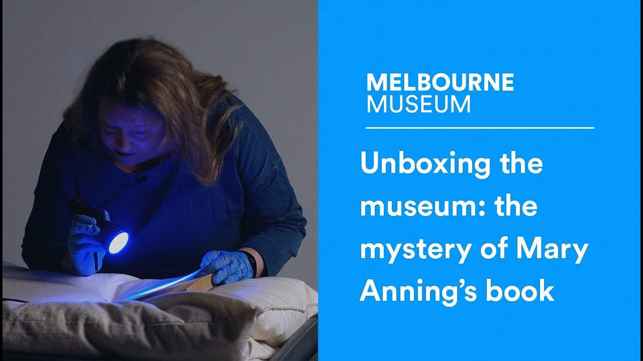 Unboxing The Museum The Mystery Of Mary Anning s Book YouTube