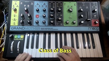 Moog Grandmother How to make 7 Bass Patches