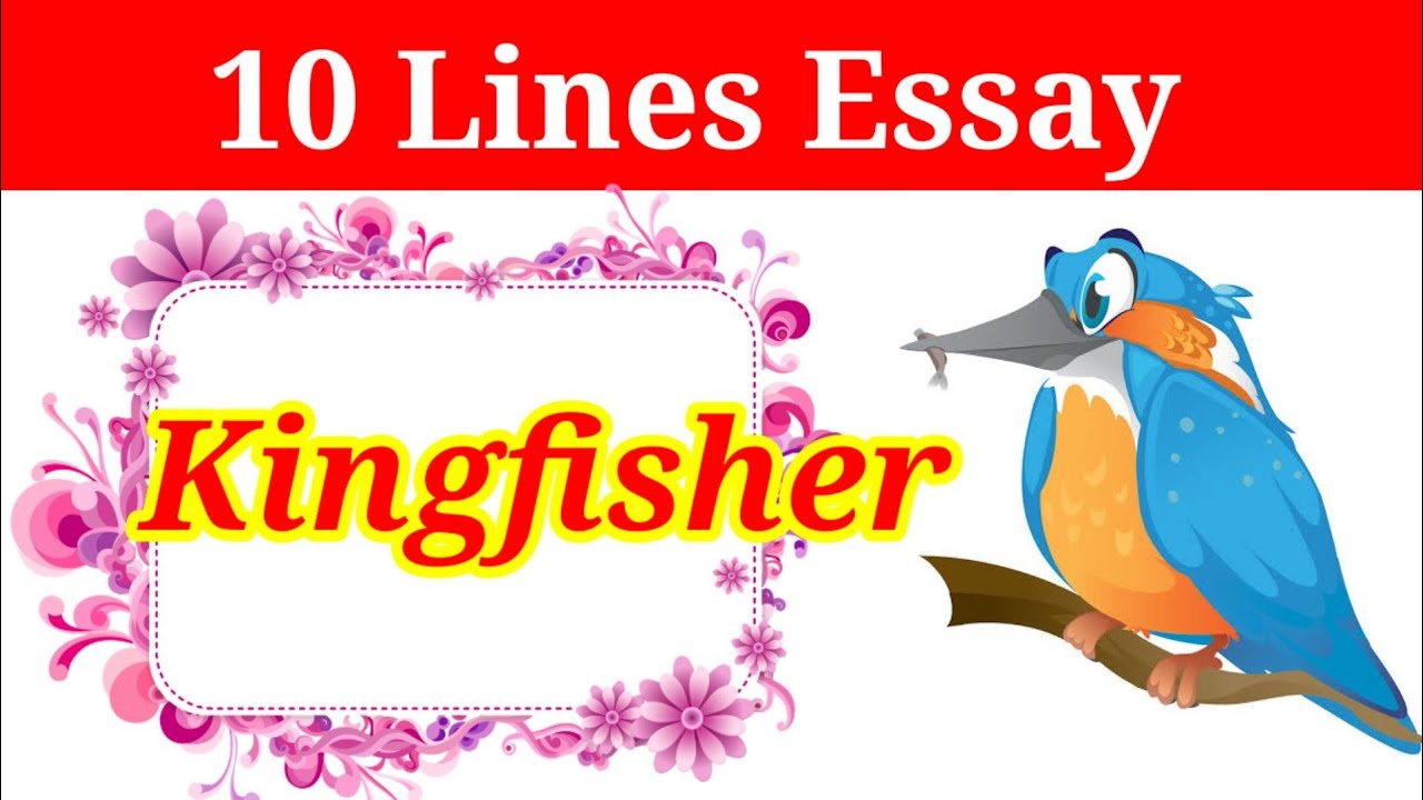 essay on kingfisher in english