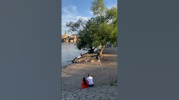 Never NOT stitching #crossstitch #flosstube