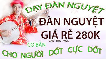 DẠY ĐÀN NGUYỆT CƠ BẢN 1 CHO NGƯỜI DỐT CỰC DỐT .đàn nguuyêt giá rẻ