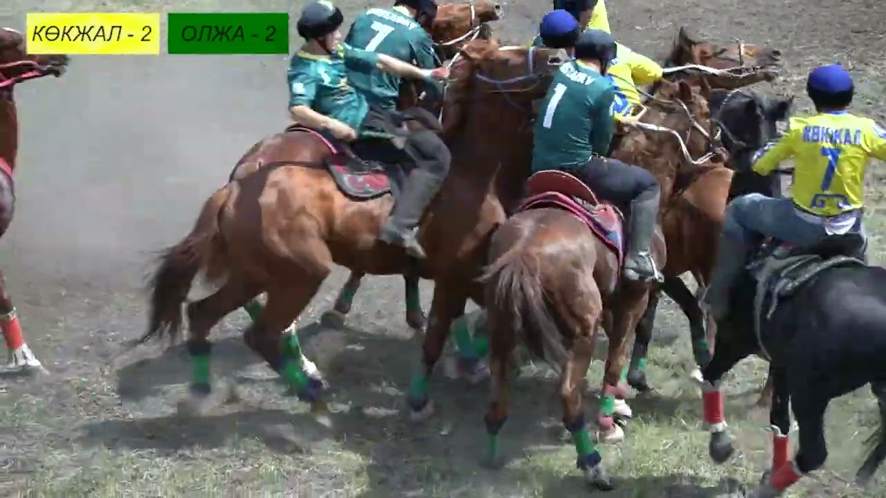 Қостанай көкпар/ финал / олжа - көкжал