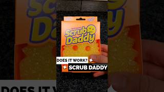 Does Scrub Daddy Really Becomes Soft/Firm In Cold/Hot Water? screenshot 2