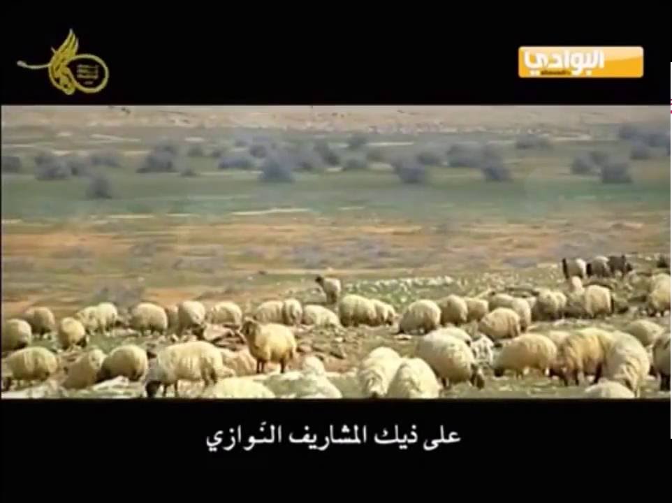 سقى غيث الحيا مزن تهامى