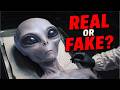The Anatomy of a Grey ALIEN: Reddit EBO Leak. Pt. 2