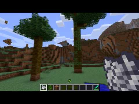 Minecrafti õpetus: Kuidas kasvatada kiiremini puid.