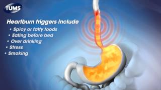 The Science Behind TUMS