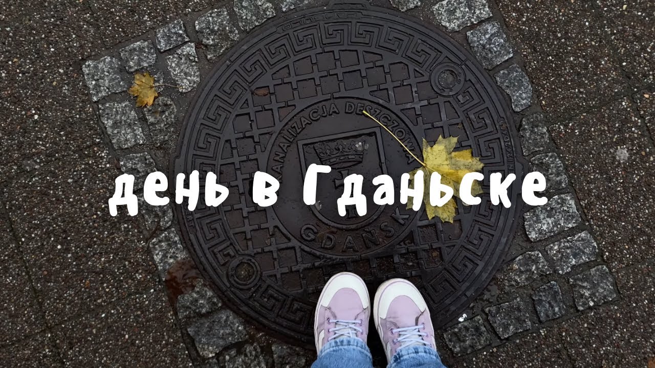 Vlog 24 / соло-трип на концерт и музыкальный кризис