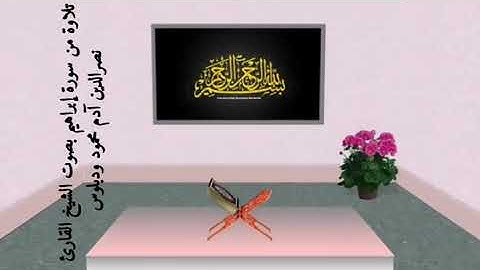 تلاوة من سورة إبراهيم بصوت الشيخ القارئ نصرالدين آدم محمود ودبلوس