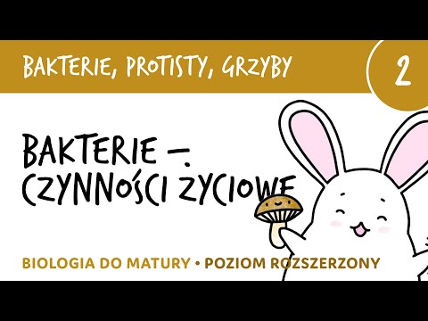 Bakterie, protisty, grzyby 2 - Czynności życiowe bakterii - biologia do matury rozszerzona liceum