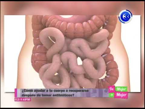 Video: La vida después de los antibióticos: cómo restaurar el cuerpo