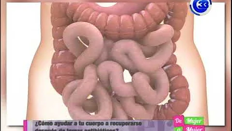 ¿Cuánto tiempo después de tomar antibióticos deben desaparecer los síntomas de la ITU?