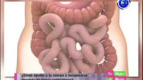 ¿Cuánto tardan en reponerse las bacterias buenas después de tomar antibióticos?