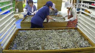 通販生活 薄焼いわし 公式 カタログハウスの通販サイト 通販生活 薄焼いわし 公式 カタログハウスの通販サイト