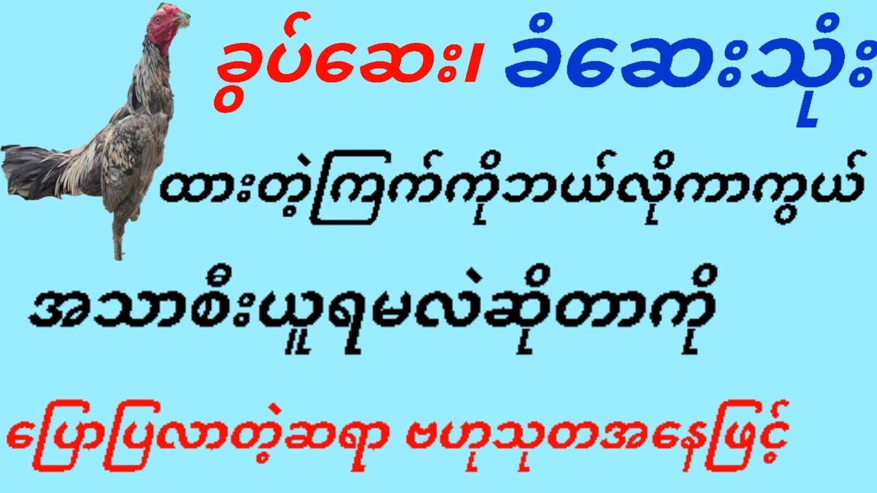 @ကြက်ကိုခွပ်ဆေး ခံဆေး သုံးထားရင်ဘယ်လိုကာကွယ်အသားစီးယူလို့ရသလဲဆိုတာကိုပြောပြလာတဲ့ ဆရာသမား