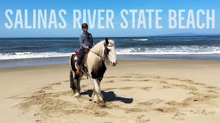 Draft horse on the beach! | GoPro horseback ride | Salinas River State Beach review