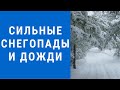 Погода на завтра, погода 19 декабря