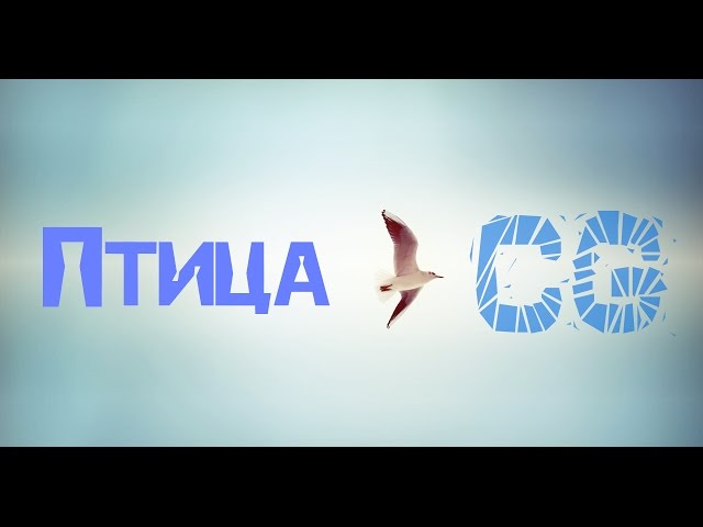 Biteeliy - Птица (live)
