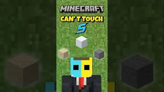 Minecraft, But I Can't Touch Anything Starting With "S"