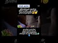 #தாயின் அன்பிற்கு இந்த உலகில் வேறு எதுவும் இல்லை#motivational#emotional#motherlove#feelquotes#shorts
