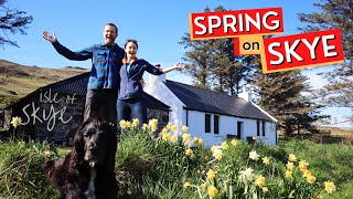 Spring Has Arrived At Our 1840s Cottage on the Isle of Skye, Highlands, Scotland - Ep16