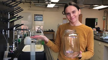 Chem 102: Measurements Lab