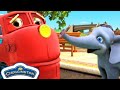 ¡Las aprendices ayudan en el parque de safari! | Chuggington en Español | Niños de dibujos animados