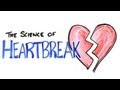 The Science of Heartbreak