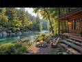 Peaceful Piano Spring Porch View Soothing Piano Fireplace For Calm Mornings Deep Focus