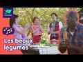 Les Beaux Bons Légumes Chanson De Passe Partout