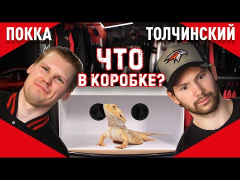 ОНО ЖИВОЕ! | Сергей Толчинский VS Вилле Покка | ЧТО В КОРОБКЕ? #3 | Авангард