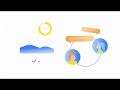 Create a culture of growth in your company - intuo