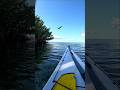 Biscayne National Park Kayaking #shorts