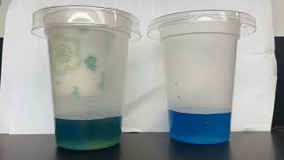 Ocean Acidification in a Cup