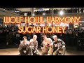 WOLF HOWL HARMONY “Sugar Honey” 2023年12月23日 埼玉