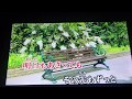 【歌ってみた】Crosswalk / 鈴木みのり