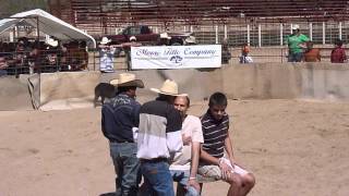 Wild Hog Catching in Bandera, Texas