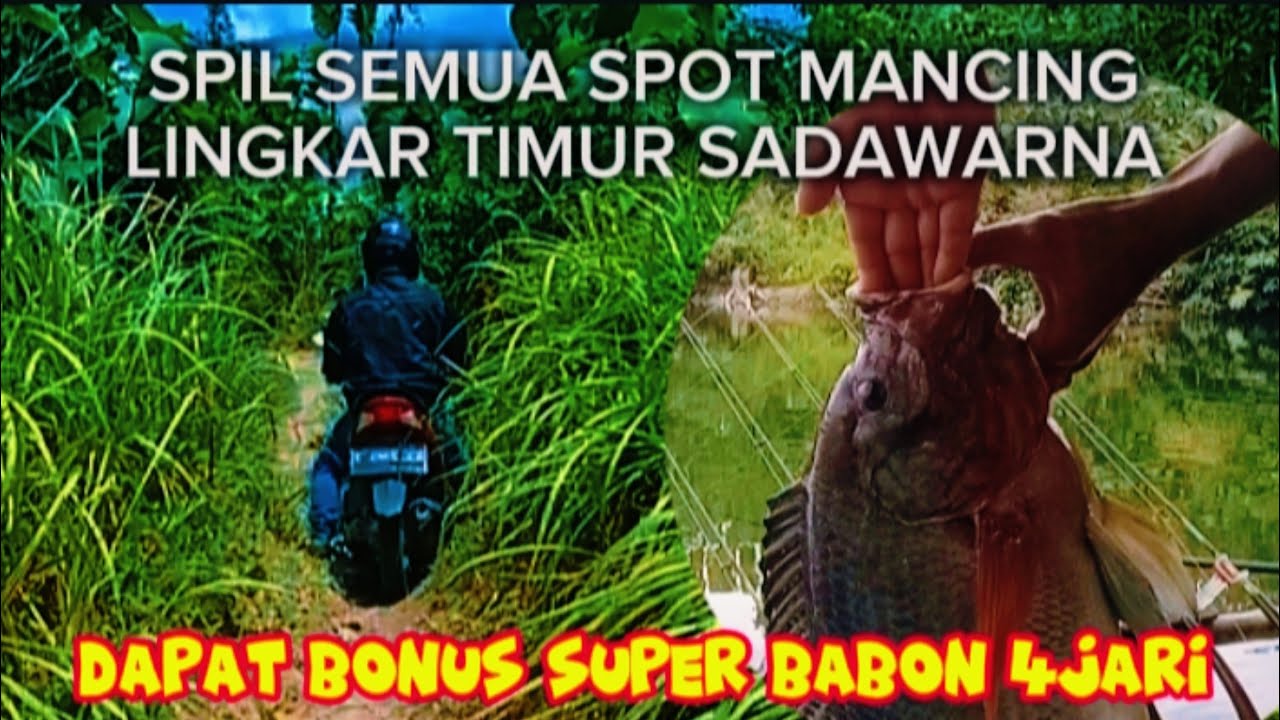 SPIL SEMUA SPOT PEMANCINGAN LINGKAR TIMUR SADAWARNA//BONUS NILA SUPER BABON 4JARI