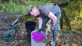 gold panning experience Cornwall UK by the gold adventurer 2,045 views 2 years ago 6 minutes, 16 seconds