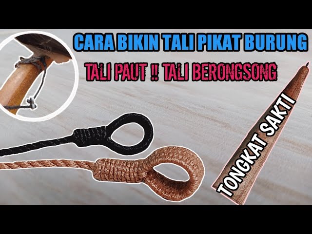 CARA MEMBUAT IKAT KAKI BURUNG KUTILANG/ TALI BERONGSONG/ TALI PIKAT, class=