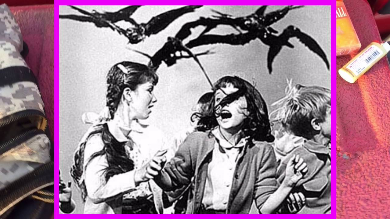 Metal Detecting Mississippi Battlefields YouTube