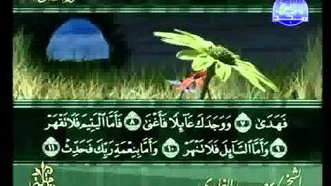 سعد الغامدي - سورة الضحى