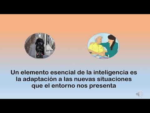 Video: Cómo Mantener La Inteligencia En La Vejez