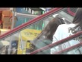 [FANCAM] 110919 Yoona RM  by limyoona.com