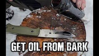 How to Extract Oil from Birch Bark - Bushcraft and Survival